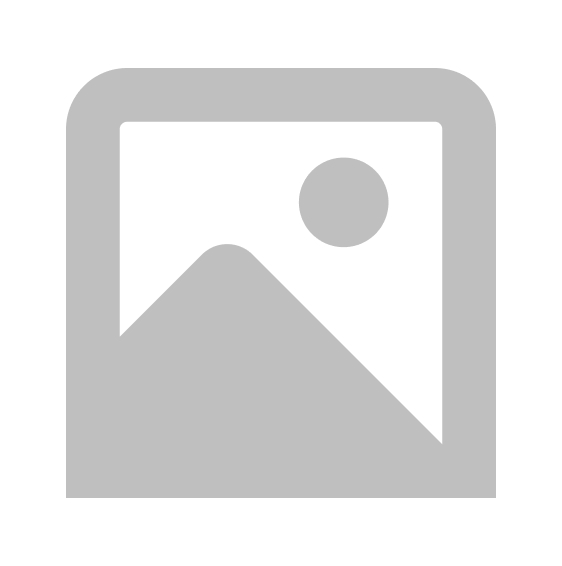 WordPress Developer